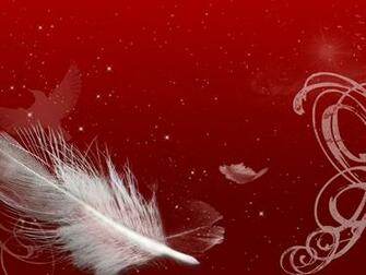 Black And Red Feather Wallpaper Wide HD