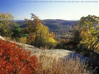 Mountain Montana Wallpaper Adirondacks Adirondack Park