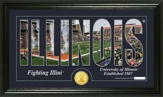 Illinois Fighting Illini Silhouette Bronze Coin Panoramic Photo Mint
