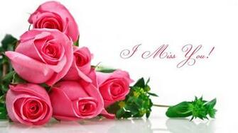 Miss You Love HD Wallpaper Rocks