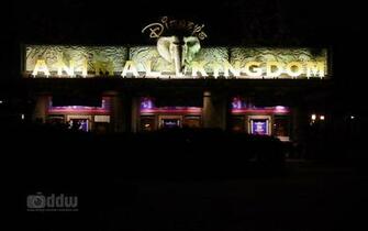Disney Desktop Wallpaper Walt World Animal Kingdom Entrance