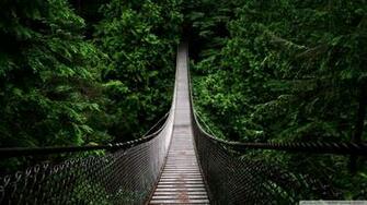 Bridge Washington Rope Pine Tree Wallpaper