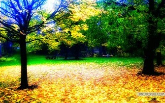 Desktop Wallpaper Nature Photo Beautiful Photographic