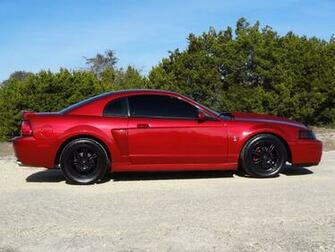 Explore The Collection Ford Mustang