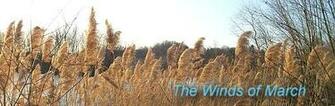March Winds HD Walls Find Wallpaper