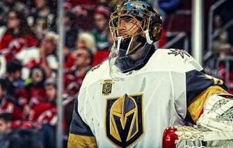 Wallpaper The Game Flower Sport Vegas Nhl Hockey