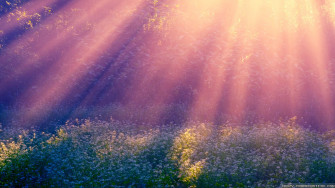 Early Fall Desktop Wallpaper