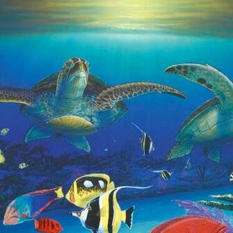 Sea Turtle Reef De Luna