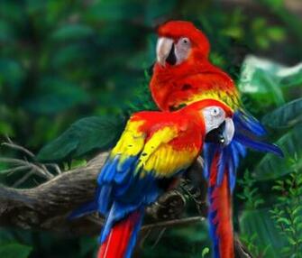 Parrot Scarlet Macaw Wallpaper