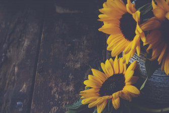 Dark Sunflower Wallpaper