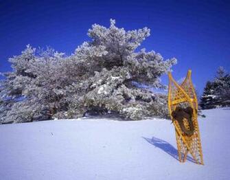 Kootation Mountain Landscape Scene Scenery Snow Winter Html