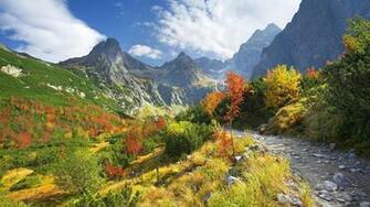 Nature Landscape Trees Forest Slovakia Tatra Mountains