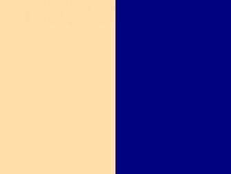 Resolution Navajo White And Navy Blue Solid Two Color Background