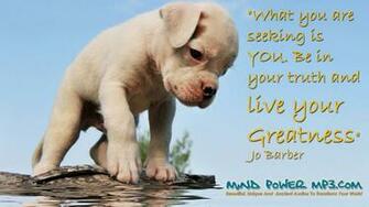 Words Of Wisdom And Cute Inspirational Wallpaper Part Evolution