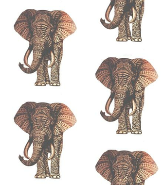 Elephants Wallpaper Image Pictures Becuo