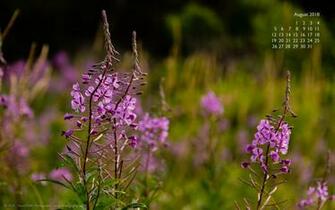 David Griffin Photography Image Videos And Tips From