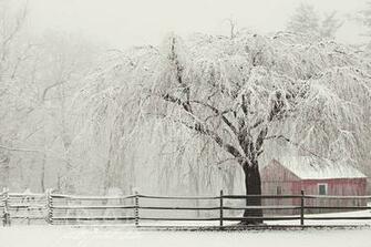 Barn Winter Scenes Fine Art Photograph Snowy Scene Red