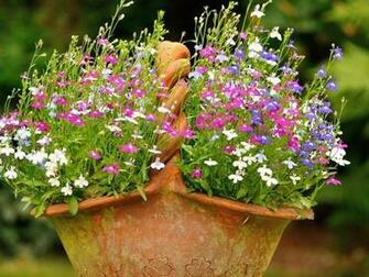 Nature Flowers In A Basket