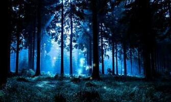 Night Forest HD Live Wallpaper Screenshot