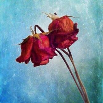 Add Exciting Background To Your iPhone Photos With Superimpose
