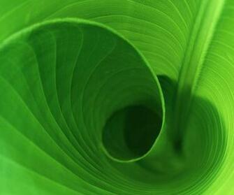 Nexus Wallpaper HD Beautiful Stunning