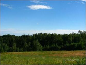 Wallpaper Summer Landscape Background