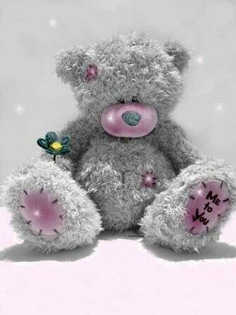 Me To You Teddy Bears Wallpaper Picswallpaper