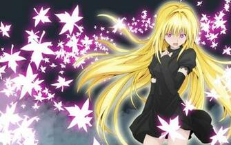 Image Black Cat Anime