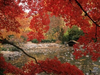 Desktop Wallpaper Of Orange Autumn Computer