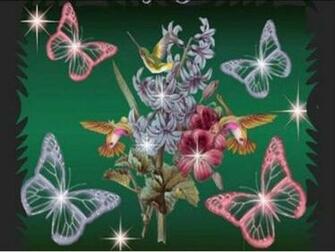 Pictures Butterfly Wallpaper