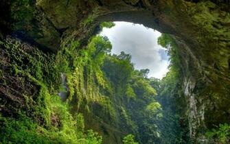 Beautiful Jungle Wallpaper For Desktop