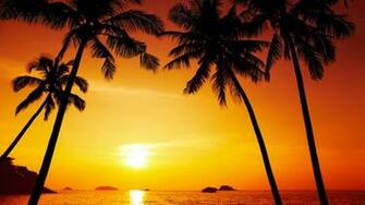 Palm Trees Wallpaper Beautiful Scenery Sunset Chang Island