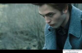 Which Twilight Character Are You