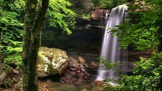 Forest Waterfall Wallpaper