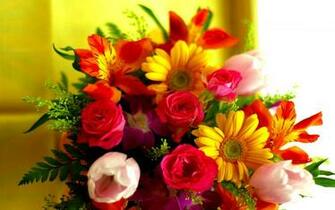 Beautiful And Cute Flowers HD Wallpaper Rocks