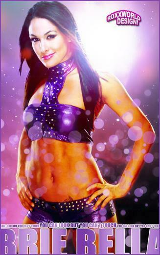 Brie Bella Wallpaper Artwork Wwe By