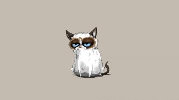 Cartoon Cat Wallpaper Wallpapercraft
