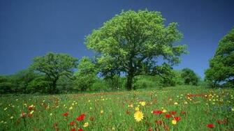 World Texas Wallpaper Wallpoper