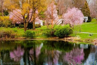 Welcome Spring Season