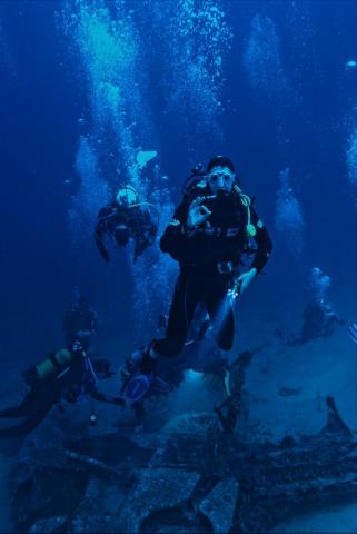 Diving Pictures Image