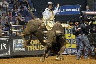 Top Bull Riding Coloring S Wallpaper