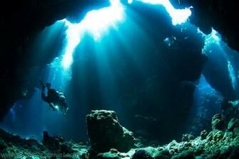 Scuba Diving Art Pic
