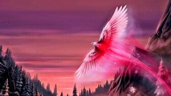 Phoenix Wallpaper Image Pictures Findpik