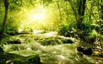 Spring River Wallpaper Pictures