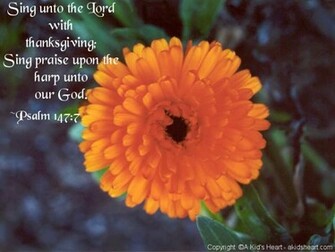 Thanksgiving Wallpaper