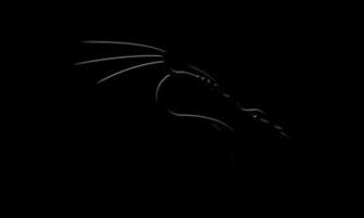 Dark Dragon Wallpaper Widescreen Wp HD Ws By
