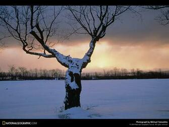 Of The Day Picture Photography Wallpaper National Geographic