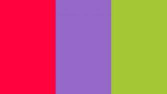 Rose Amethyst And Android Green Solid Three Color Background