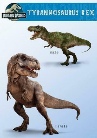 Rex Jurassic World By Manusaurio