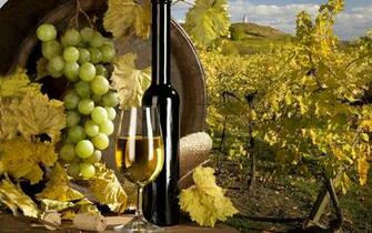 High Definition Wallpaper Photo Wine Html